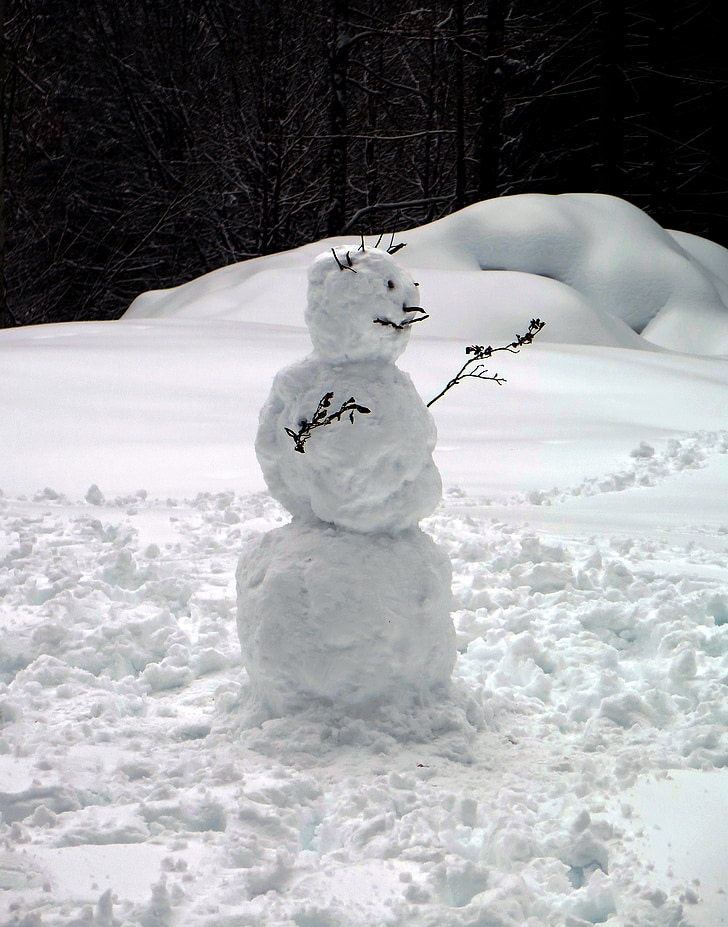 homme de neige, neige, blanc, Cheeky, hiver, visage, hivernal