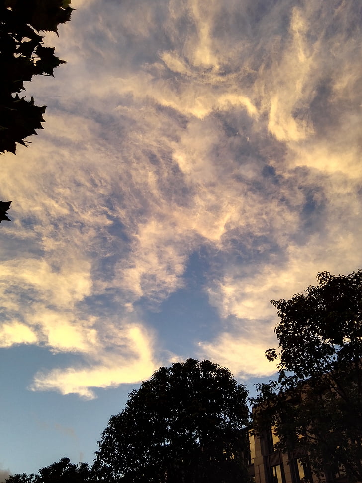 at dusk, sky, cloud, tree, nature, outdoors