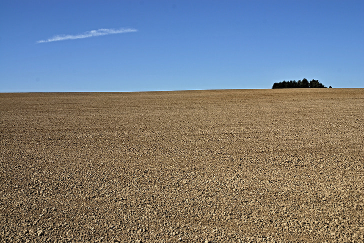 field, country, lumps, horizon, cloud, forest, blue sky
