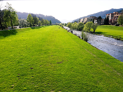 meadow, water, homes, trees, valley, haslach, ortenau