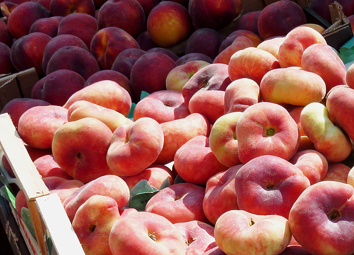 virsik, Vineyard peach, puu, Värviline, vitamiinid, terve, puuviljad