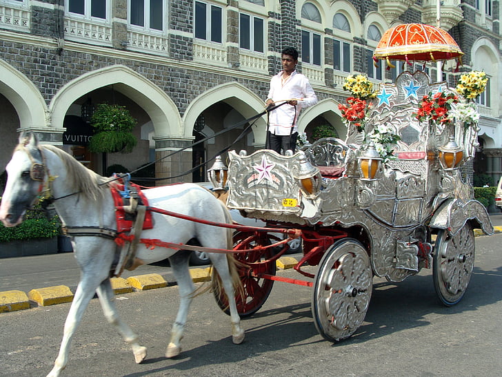 Ostoskori, hevonen cart, hevonen chariot, kuljetus, Vintage, liikenne, vaunun