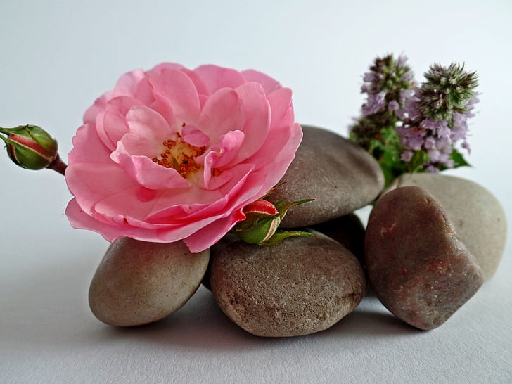 stones, stack, balance, meditation, patience, relaxation, rose