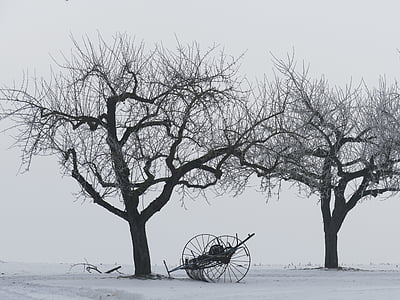 Vinter, trær, Kahl, snø, fortsatt liv, høy tedders, landbruk
