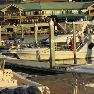 Marina, tekneler, Dock, su, Boardwalk, akşam