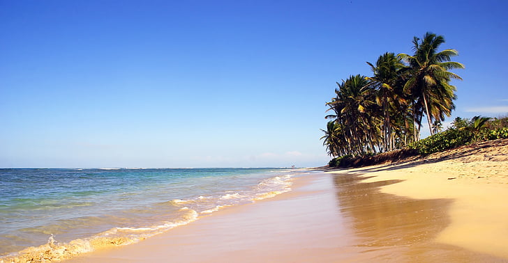 Dominikāna, Punta cana, pludmale, kokosriekstu koki, smilts, krasta, brīvdiena