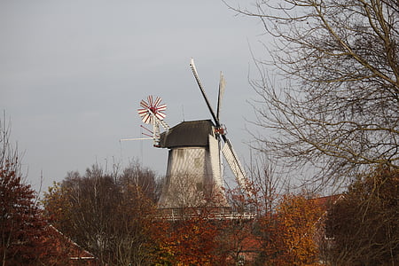 mlýn, větrný mlýn, podzim, křídlo, budova, obilný mlýn, louka