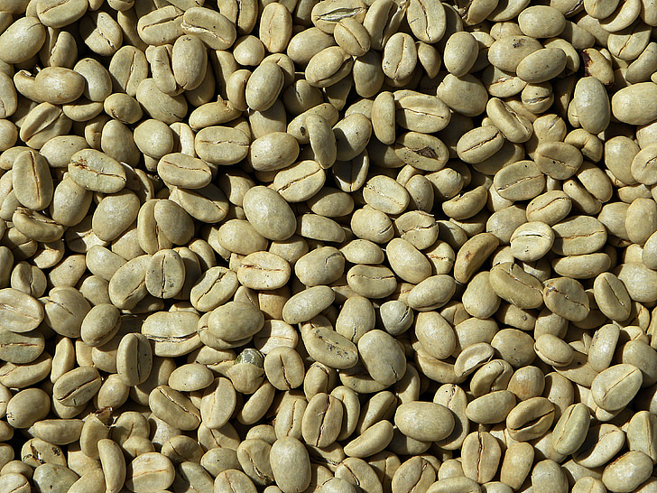 green coffee, coffee beans, coffee, arabica, costa rica