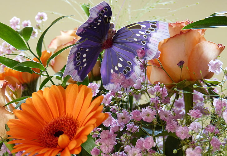 pillangó, születésnapi csokor, Gerbera, Rózsa, Blossom, Bloom, virág