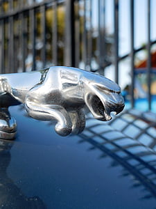 simbol, avtomobila znamke, Jaguar car, ikona