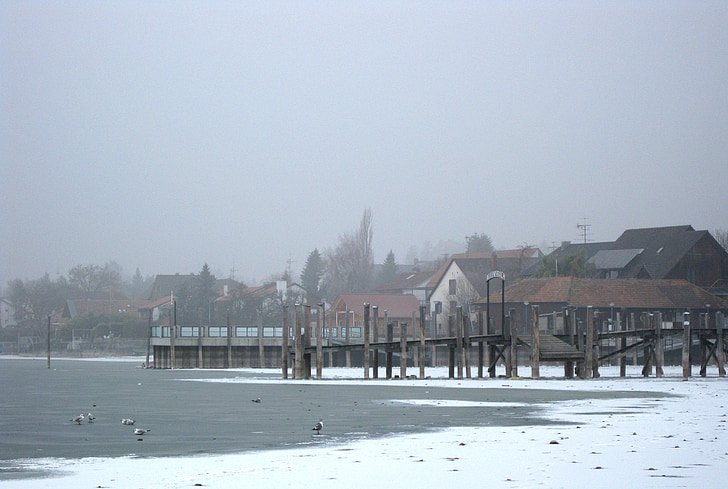 Allensbach, mrożone, Jezioro Bodeńskie, zimowe, sieci Web