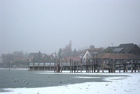 allensbach, 냉동, 콘스탄스 호수, 겨울, 웹