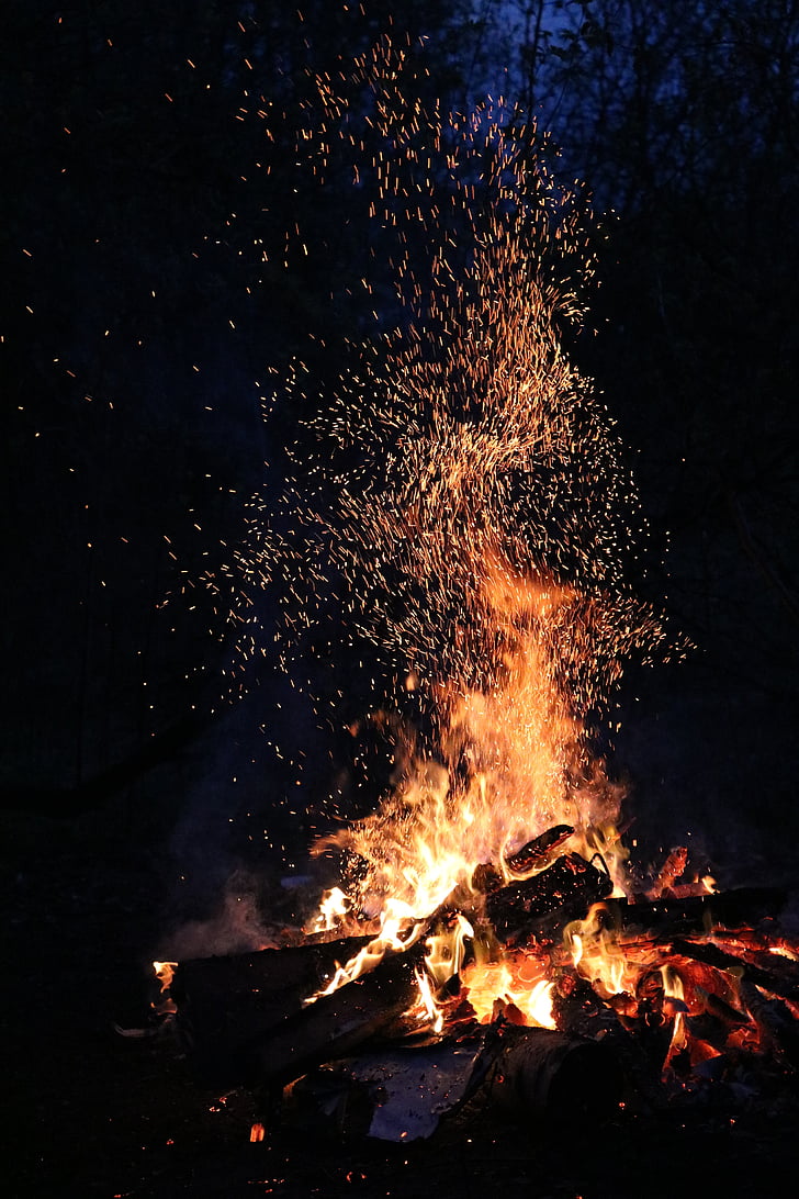 noč, gozd, Koster, plamen, Iskra, vročina, ogenj