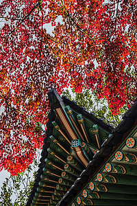 紫禁城, 秋, 秋の紅葉