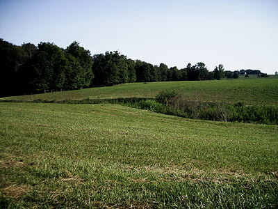 Ohio, negara, bidang, hijau, pedesaan, Amerika, pertanian