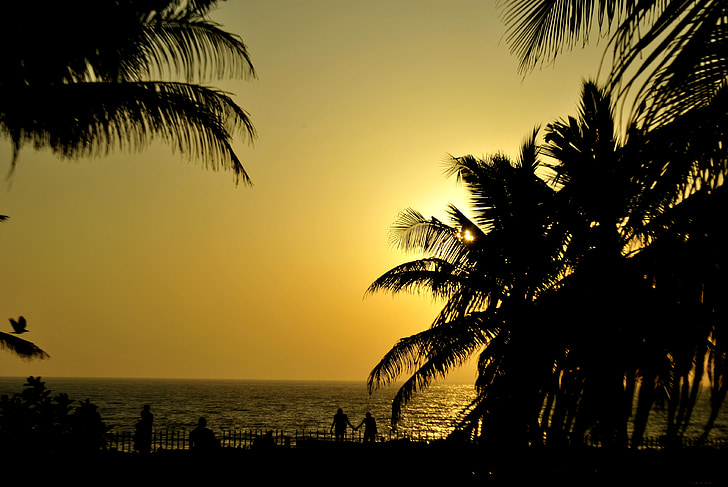 palmy, zachód słońca, sylwetki, palmy, Ocean, Plaża, romantyczny