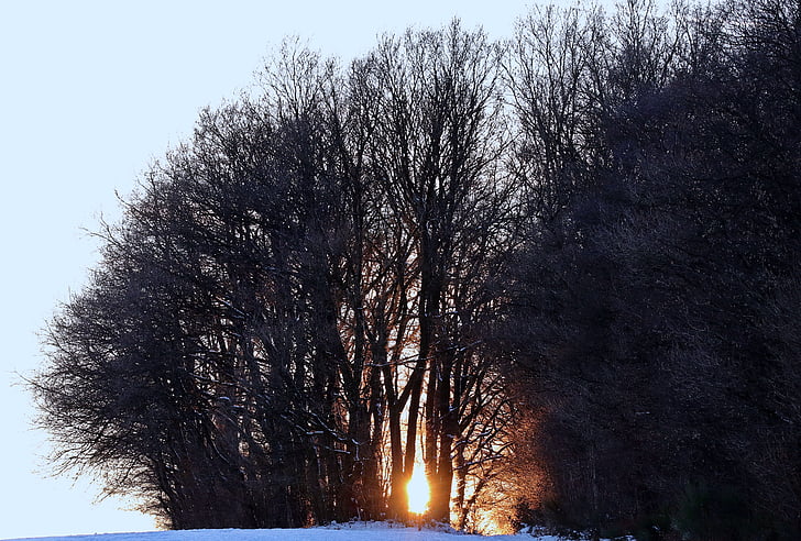 冬天, 傍晚的太阳, 雪, 自然, 白雪皑皑, 寒冷, 天空