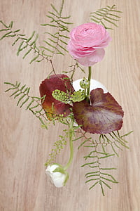 Ranunculus, vaaleanpunainen, valkoinen, kimppu, kukat, vaaleanpunainen kukka, lehdet