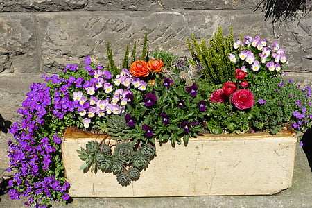 virágok, virágtartók, virágláda, kert, növényi konténer, dekoráció, virág díszek