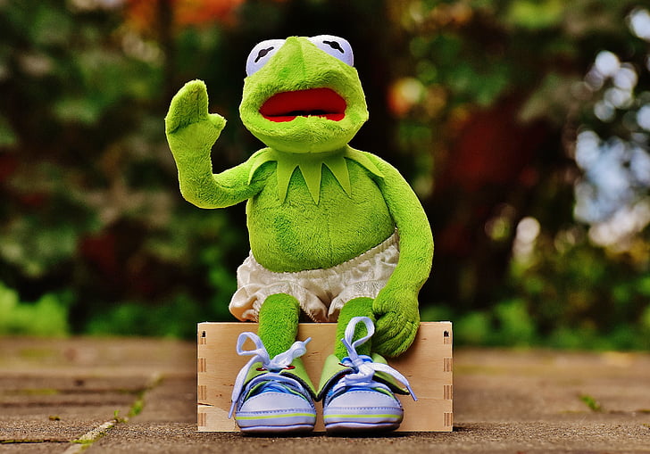 Kermit, sėdėti, banko, sportiniai bateliai, kelnės, varlė, juokingas