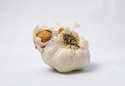 garlic, food, vegetables, corrupted, eat, product photo, bad garlic