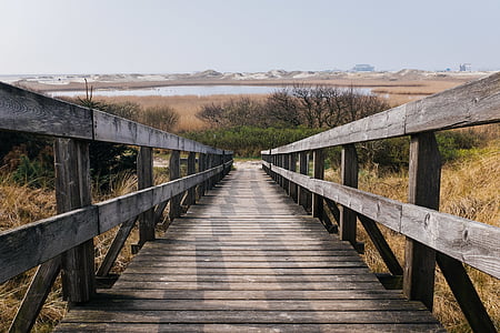 nature, path, railing, stairs, wood, wood - Material, boardwalk