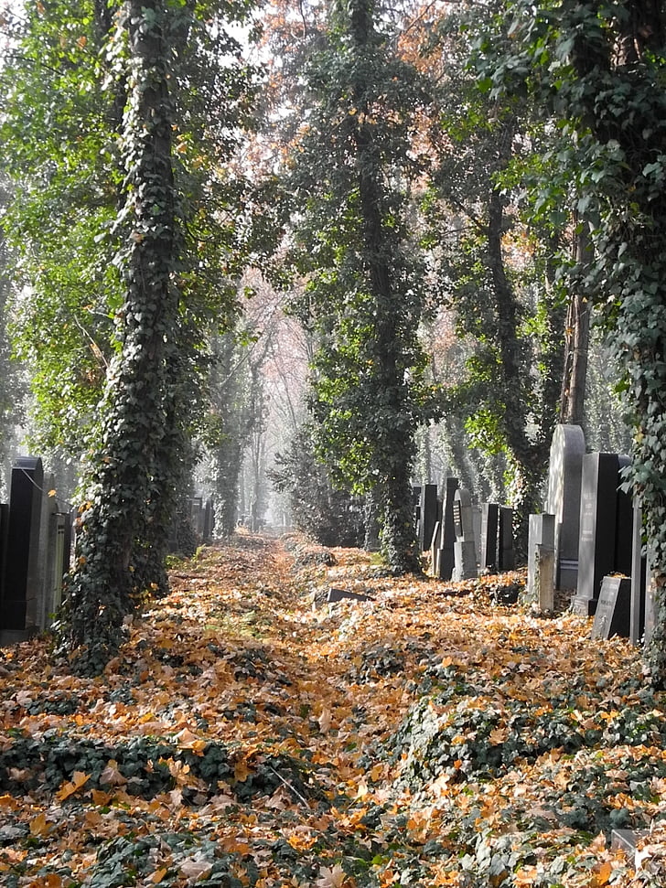 cemitério, túmulo, tumba, pedras graves, Deus do acre, última calma, Outono