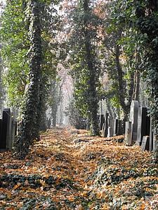 Cementerio, sepulcro, tumba, piedras graves, Dios de acre, última calma, otoño