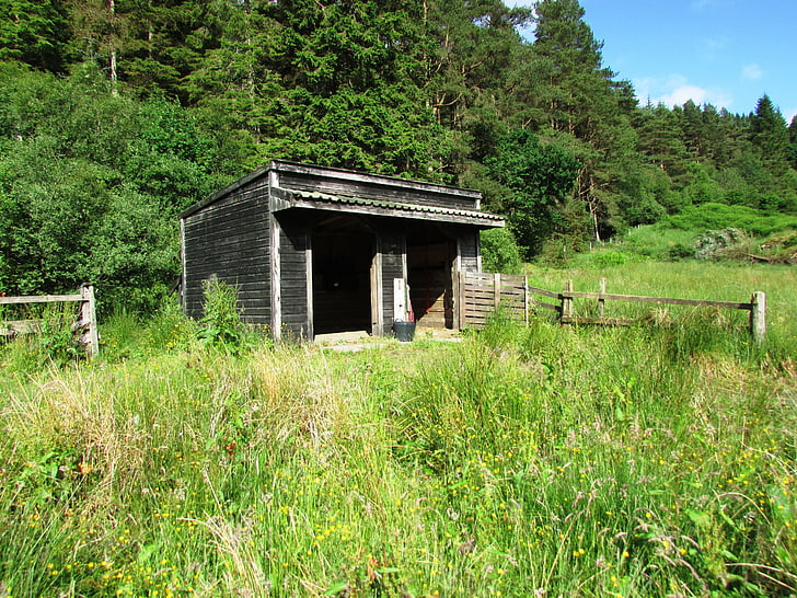 wooden, hut, stable, shed, barn, byre, riding