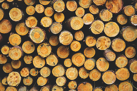дървен материал, гора, Централно отопление, огън, камина, дърво - материал, дървен материал промишленост