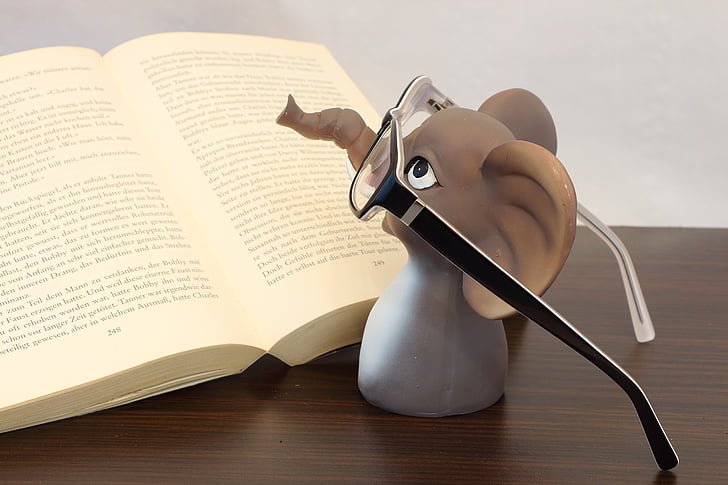 elephant, glasses, book, read, reading glasses, book goggles, animal with glasses