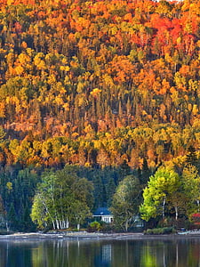 Jesienny krajobraz, Natura, Jesienne liście, ciepłe kolory, liści, góry, drewno