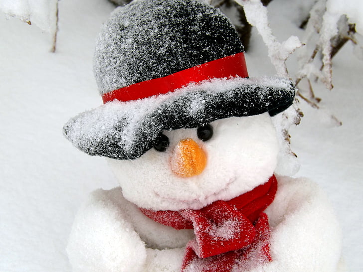 Snežak, pozimi, bela, sneg