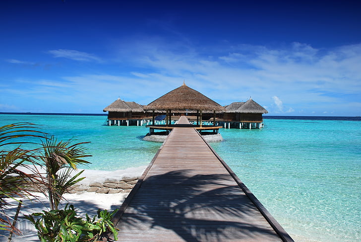 Maledivy, Ile, pláž, slunce, svátek, oceán, Příroda