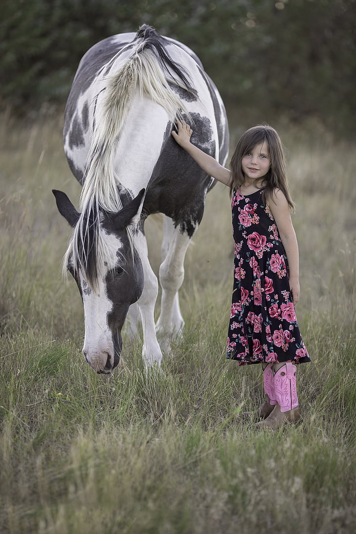 το παιδί, άλογο, ζώο, Κορίτσι, διασκέδαση, Χαριτωμένο, χώρα