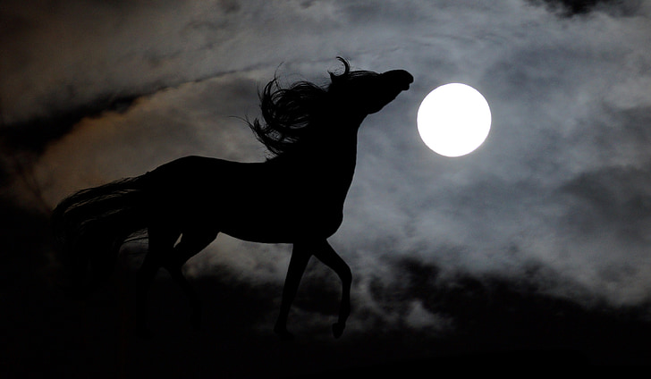 konj, Arapski, mjesec, pastuh, noć, grafika, siluete