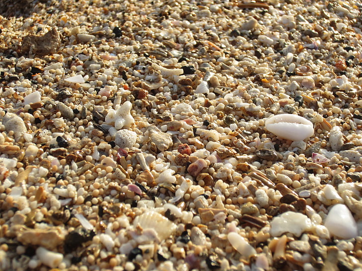 piasek, Plaża, Coral, naturalne, tekstury, Brzeg, Latem