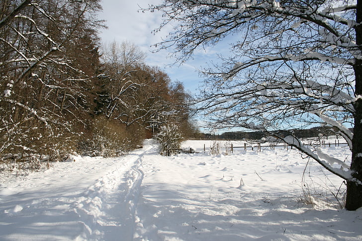 Starnberg, l'hivern, hivernal, neu, blanc