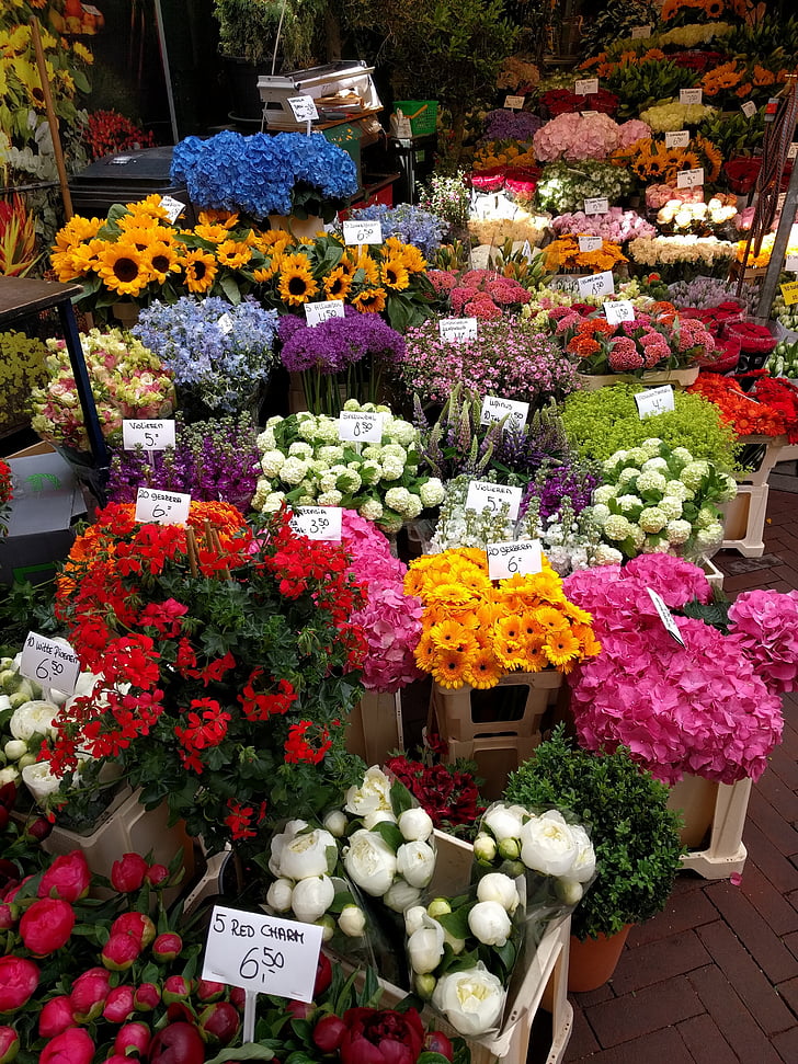 flowers, market, blossom, amsterdam, colorful, bouquet, blooming