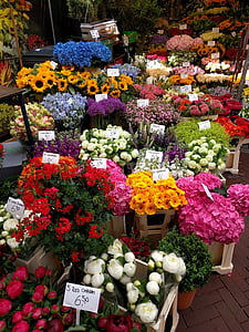 Цветы, рынок, Блоссом, Амстердам, красочные, Букет, цветение