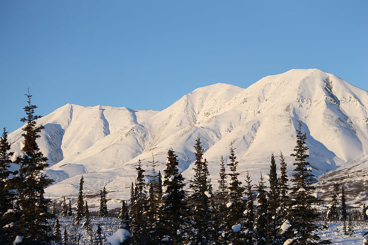 Аляска, планински, бяло, студено, зимни, сняг, живописна