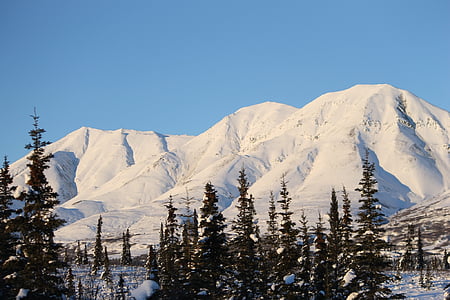 Aliaska, kalnų, balta, šaldymo, žiemą, sniego, vaizdingas