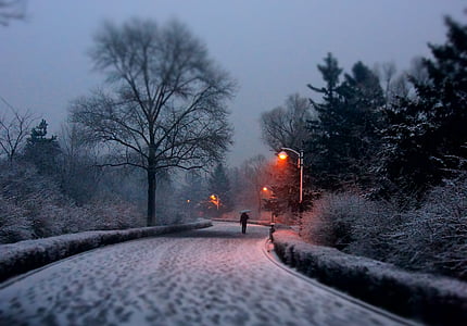 หิมะ, การถ่ายภาพ, ถนนหิมะ, เส้นทาง, วิธี