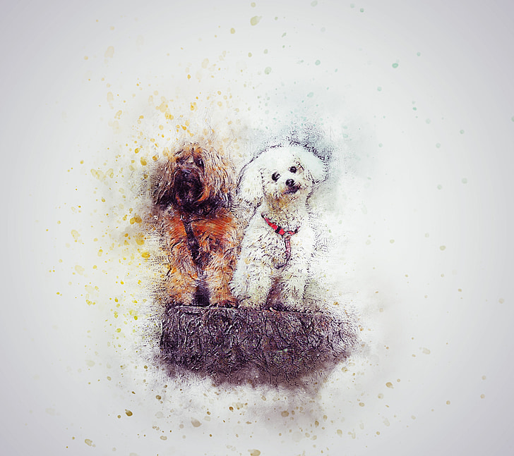 dogs, cute, pet, animal, tree trunk, art, abstract