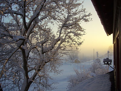 neu, explosió d'hivern, paisatge, morgenstimmung