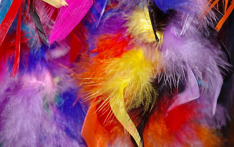 ploma, plomes de colors, Carnaval, estoles, colors, fons, color