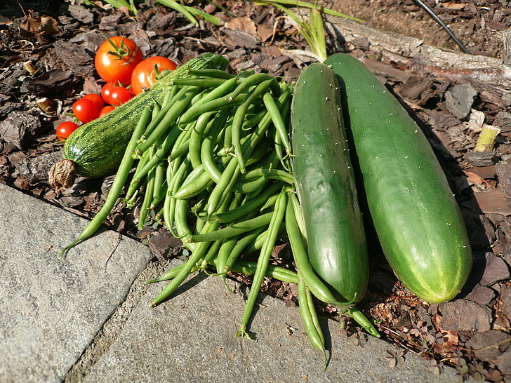dārzeņi, gurķi, zaļās pupiņas, tomāti, veģetārietis, dārzenis, pārtika
