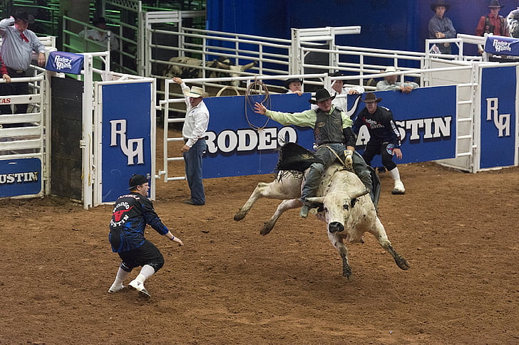 Rodeo, vaquero, Toro, montar a caballo, oeste, arena, competencia