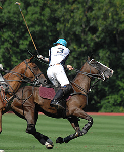 Polo, ο άνθρωπος, παίκτης, άλογα, σπορ, ανταγωνισμού, πίσω πλευρά