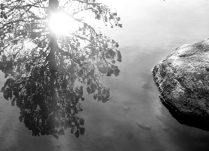 lake, reflection, tree, rock, pyrenees